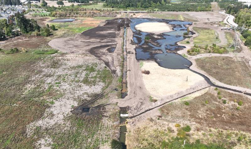 Coffee Lake Creek wetlands restoration