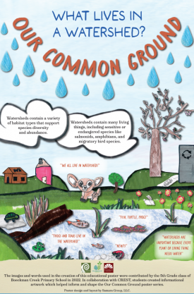 What lives in a watershed poster