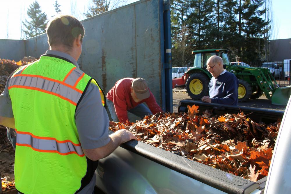 Leaf Drop Off Day City of Wilsonville Oregon