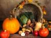 Thanksgiving harvest